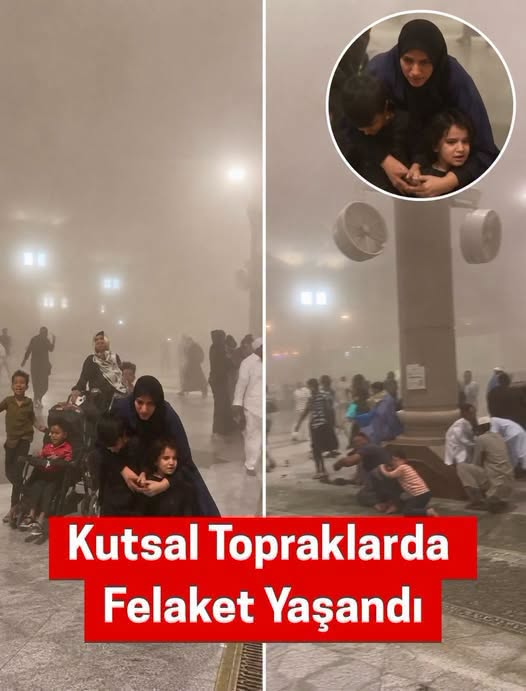 Politika