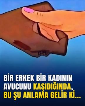 Politika