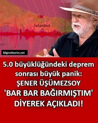 Politika