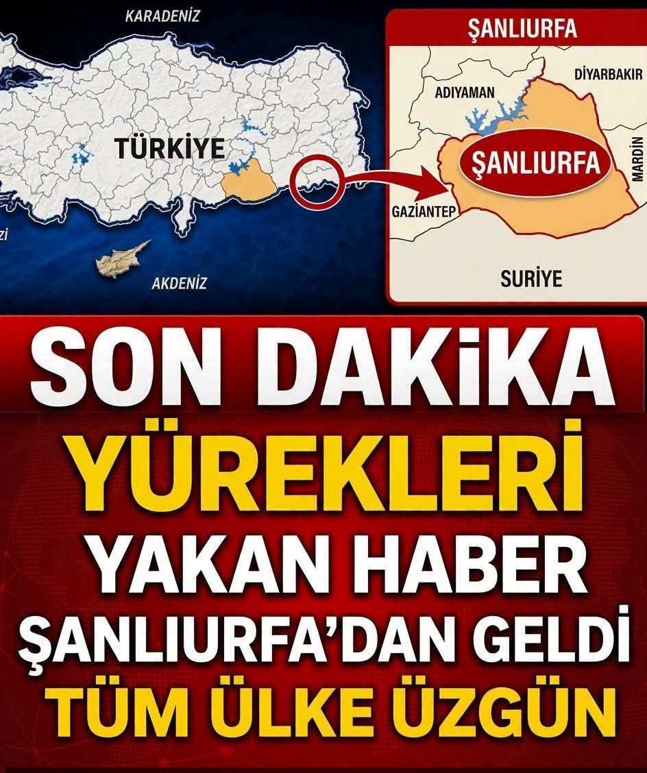 Bölgeye çok sayıda sağlık, jandarma, itfaiye ve AFAD ekibi sevk edildi.