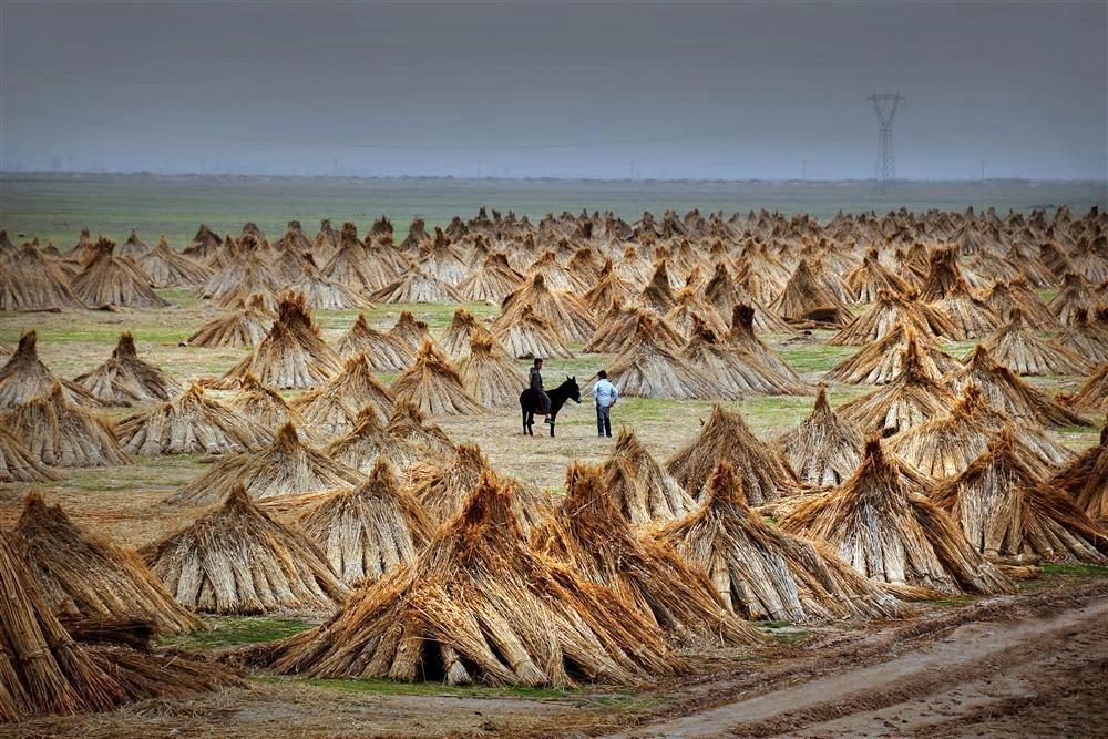 Kayseri, Kültür ve Sanatla Dolu 9 Güne Hazırlanıyor