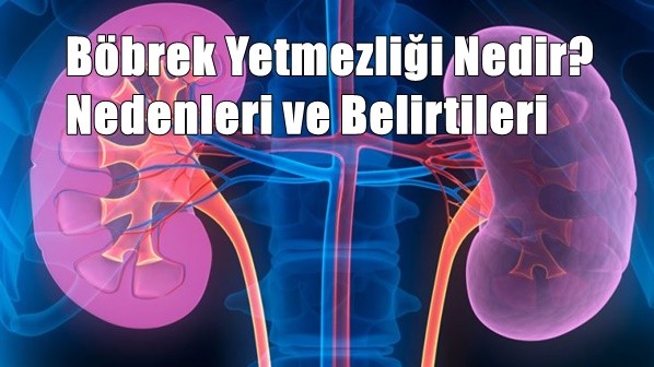 Böbrek Yetmezliği Nedir? Nedenleri ve Belirtileri Nelerdir?
